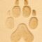 patte chien Ajout d'un matoir 3D